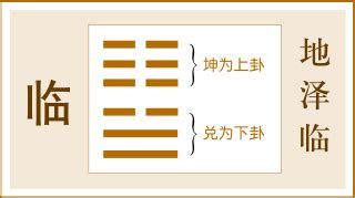 坤兌卦|臨卦（地澤臨）易經第十九卦（坤上兌下）詳細解說